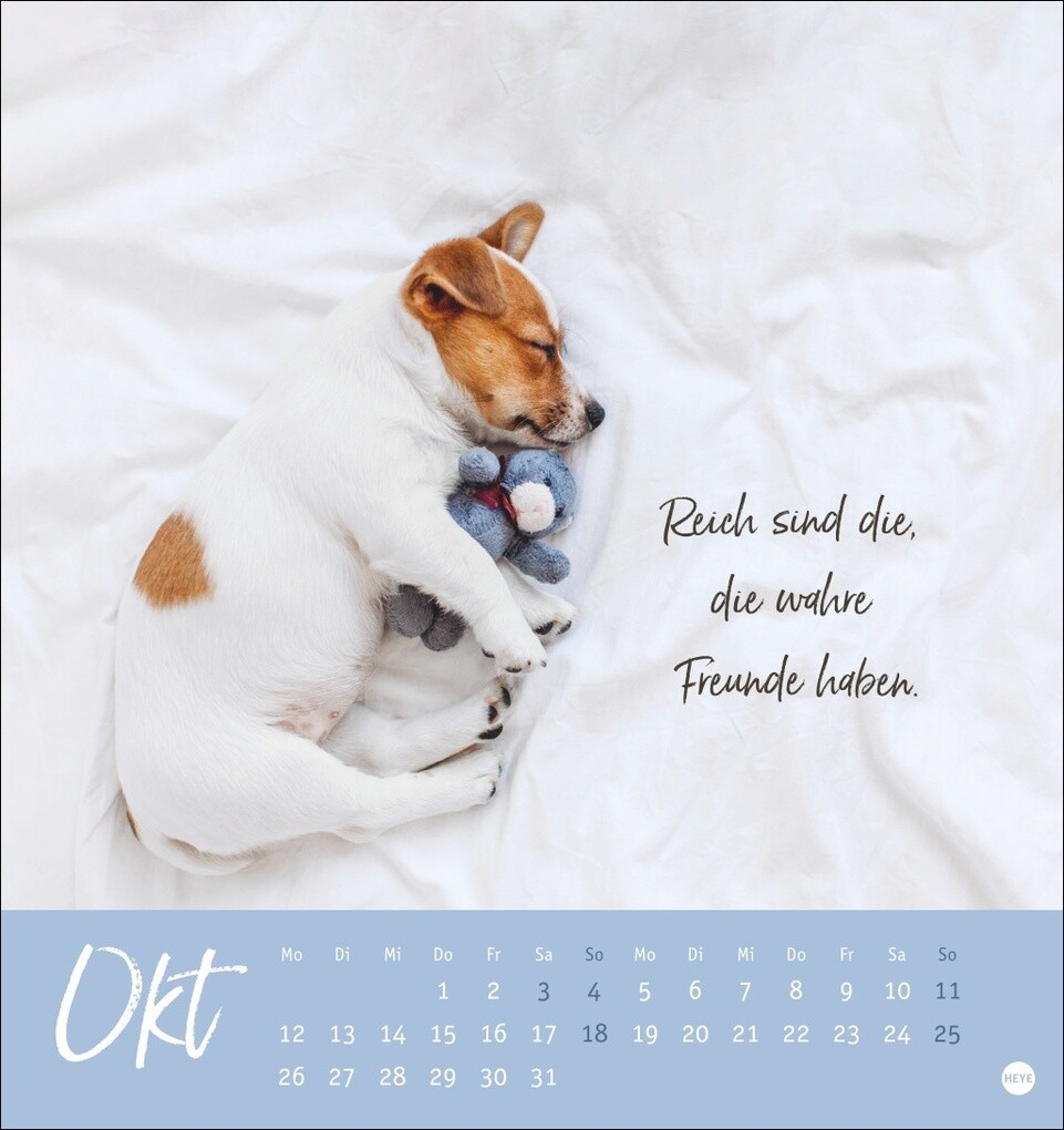 Weitere Ansicht: Ziemlich beste Freunde Postkartenkalender 2026 - Für immer dein