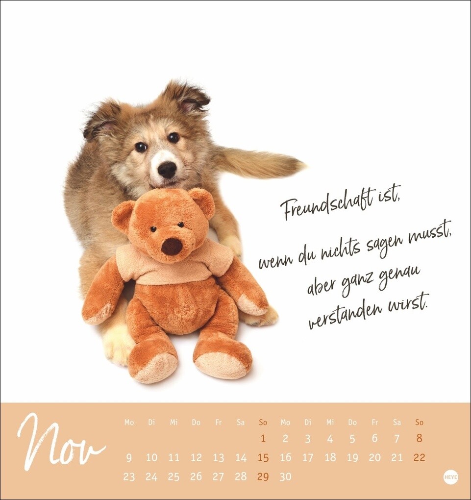 Weitere Ansicht: Ziemlich beste Freunde Postkartenkalender 2026 - Für immer dein