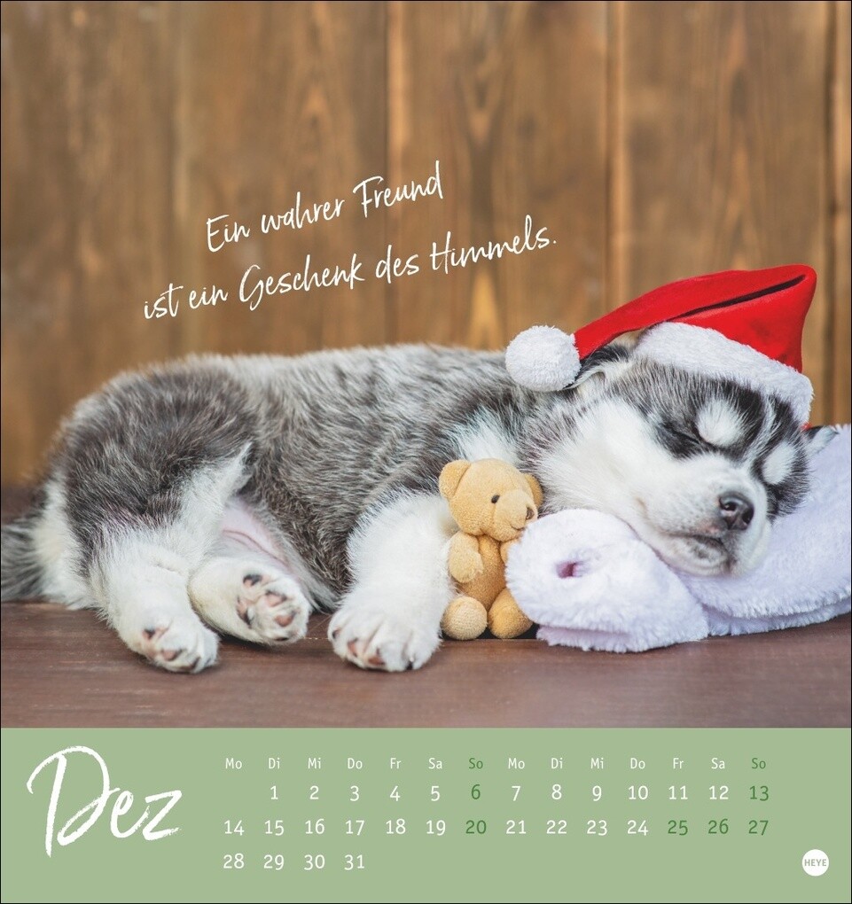 Weitere Ansicht: Ziemlich beste Freunde Postkartenkalender 2026 - Für immer dein