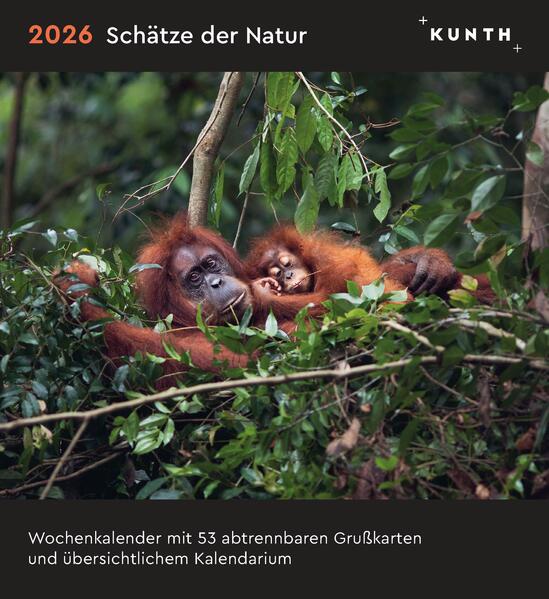 Produktbild: Schätze der Natur - KUNTH Postkartenkalender 2026