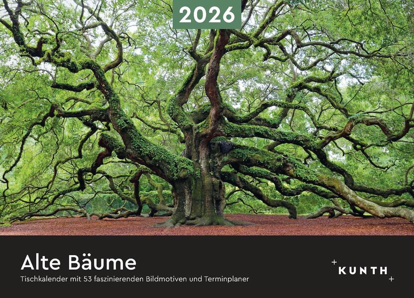 Produktbild: Alte Bäume - KUNTH Tischkalender 2026
