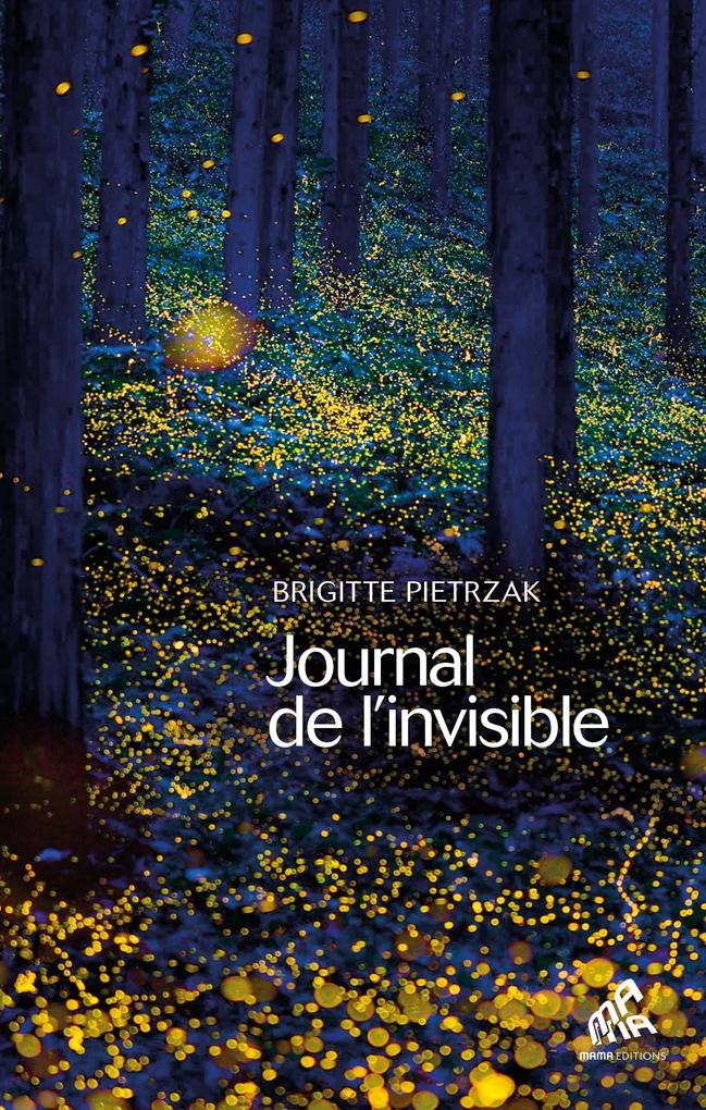 Produktbild: Journal de l'invisible | Brigitte Pietrzak