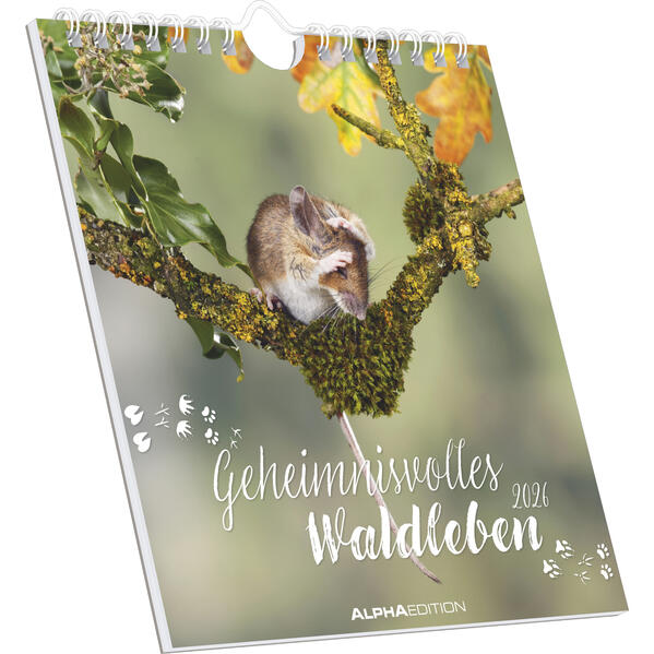 Produktbild: Geheimnisvolles Waldleben | Alpha Edition GmbH & Co. KG
