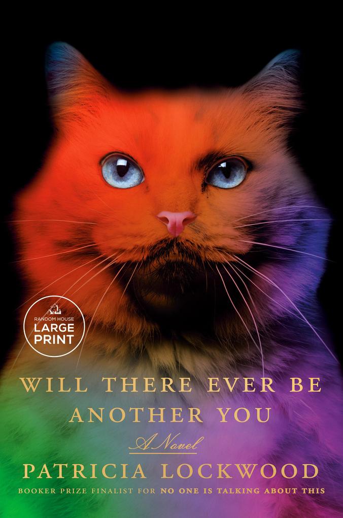 Produktbild: Will There Ever Be Another You | Patricia Lockwood