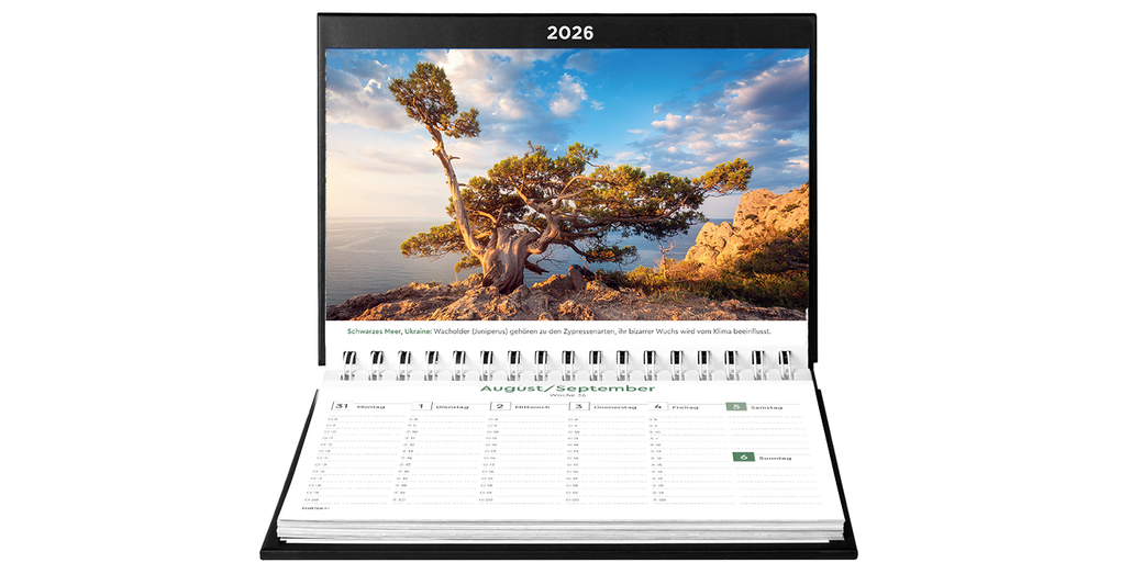 Weitere Ansicht: Alte Bäume - KUNTH Tischkalender 2026