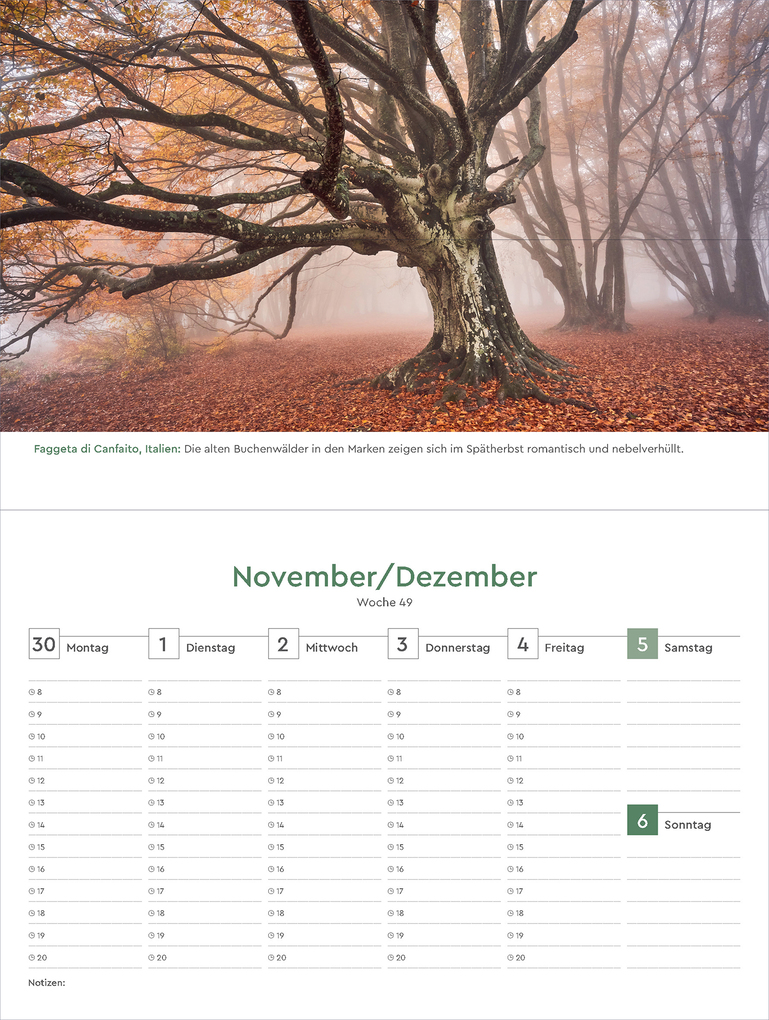 Weitere Ansicht: Alte Bäume - KUNTH Tischkalender 2026