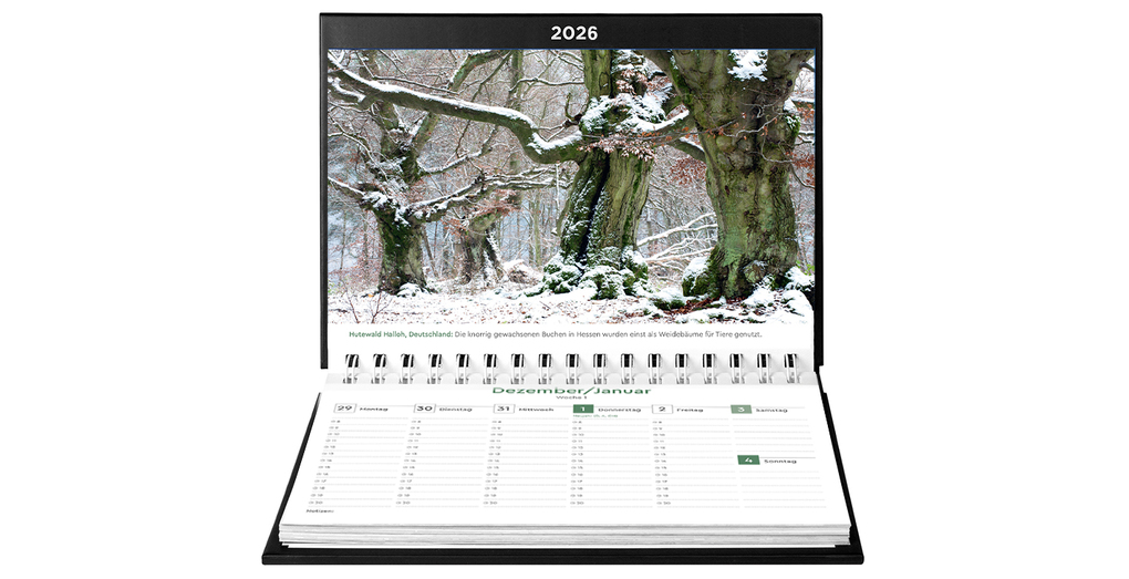 Weitere Ansicht: Alte Bäume - KUNTH Tischkalender 2026