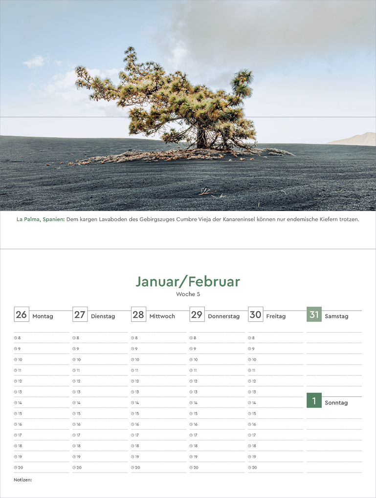 Weitere Ansicht: Alte Bäume - KUNTH Tischkalender 2026