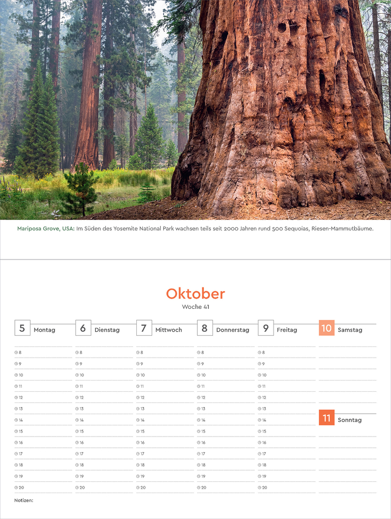 Weitere Ansicht: Alte Bäume - KUNTH Tischkalender 2026