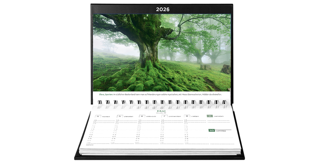 Weitere Ansicht: Alte Bäume - KUNTH Tischkalender 2026
