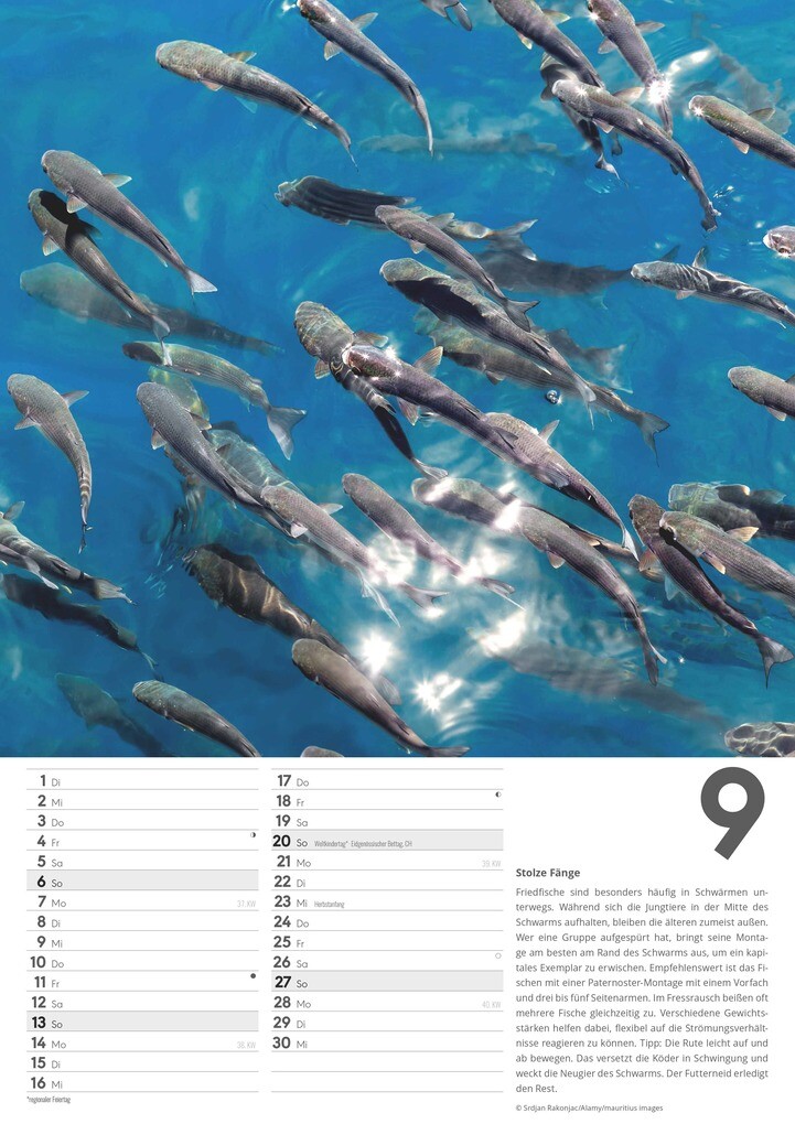 Weitere Ansicht: Der große Angelkalender 2026 - Bildkalender A3 (29,7x42 cm) - mit vielen Zusatzinformationen aus der Anglerwelt und Platz für Notizen - Wandkalender | Alpha Edition GmbH & Co. KG