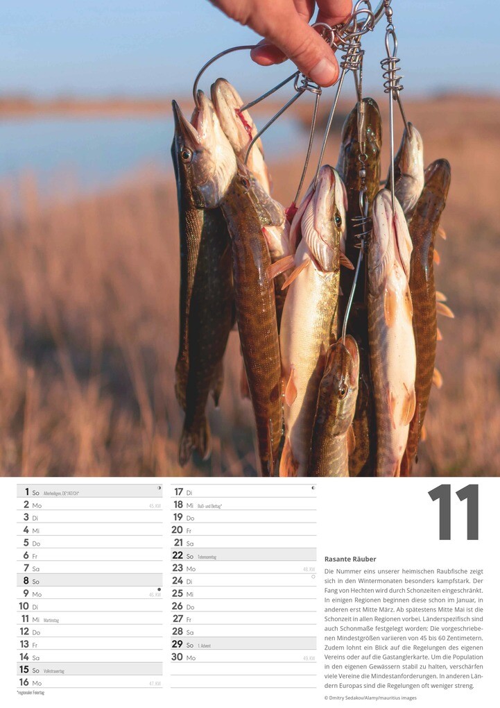 Weitere Ansicht: Der große Angelkalender 2026 - Bildkalender A3 (29,7x42 cm) - mit vielen Zusatzinformationen aus der Anglerwelt und Platz für Notizen - Wandkalender | Alpha Edition GmbH & Co. KG