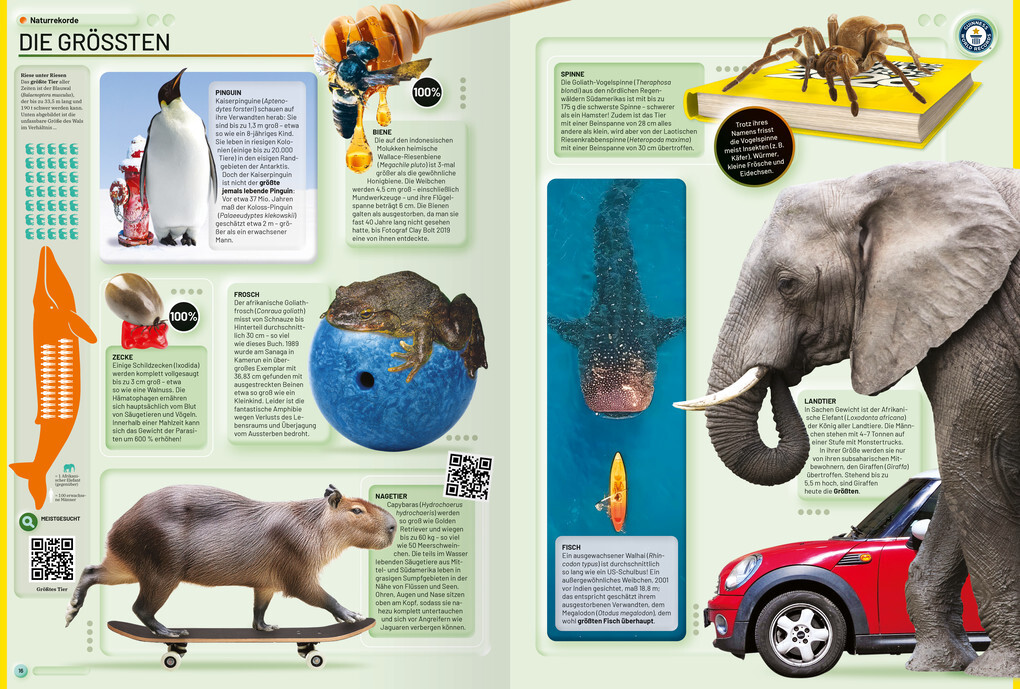 Weitere Ansicht: Guinness World Records - 2026