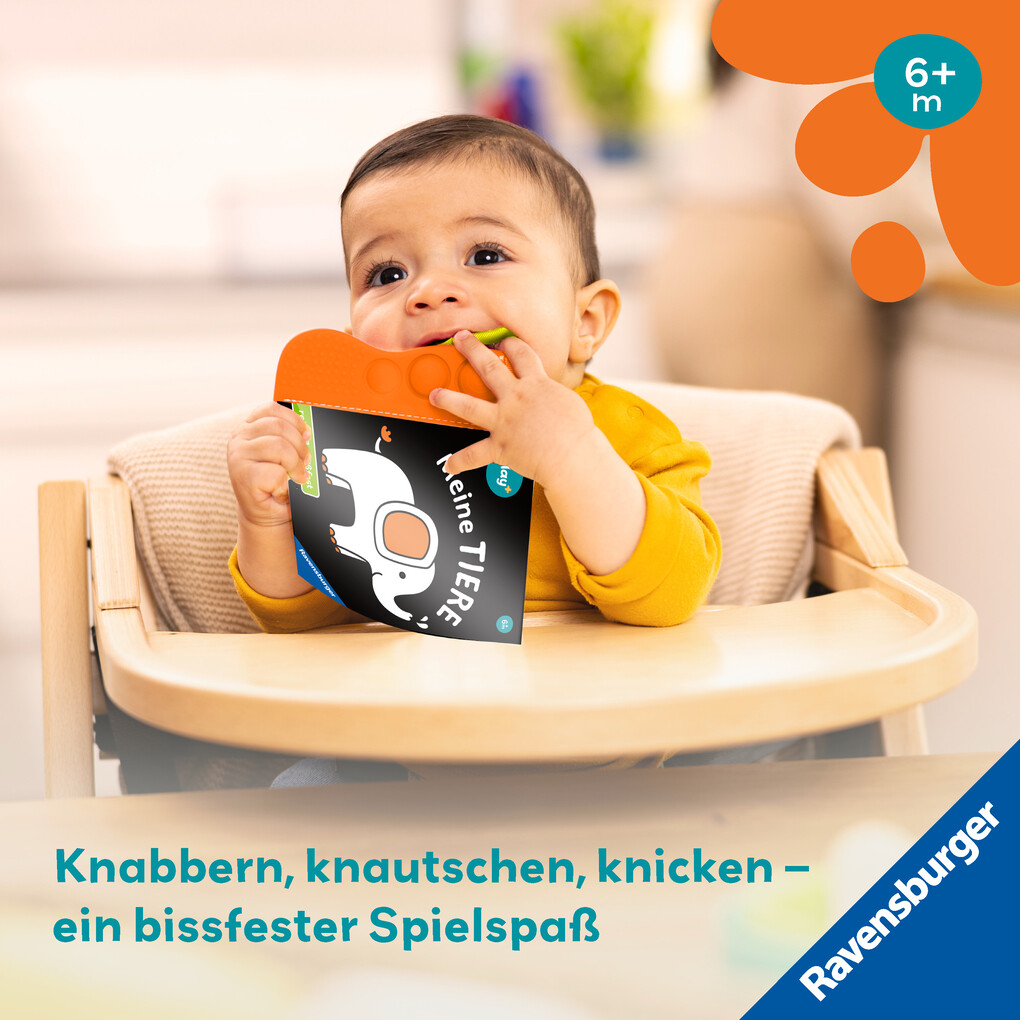 Weitere Ansicht: Play+ flip&pop Meine Tiere - ab 6 Monate