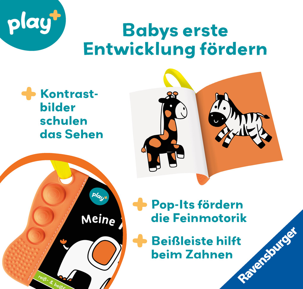 Weitere Ansicht: Play+ flip&pop Meine Tiere - ab 6 Monate