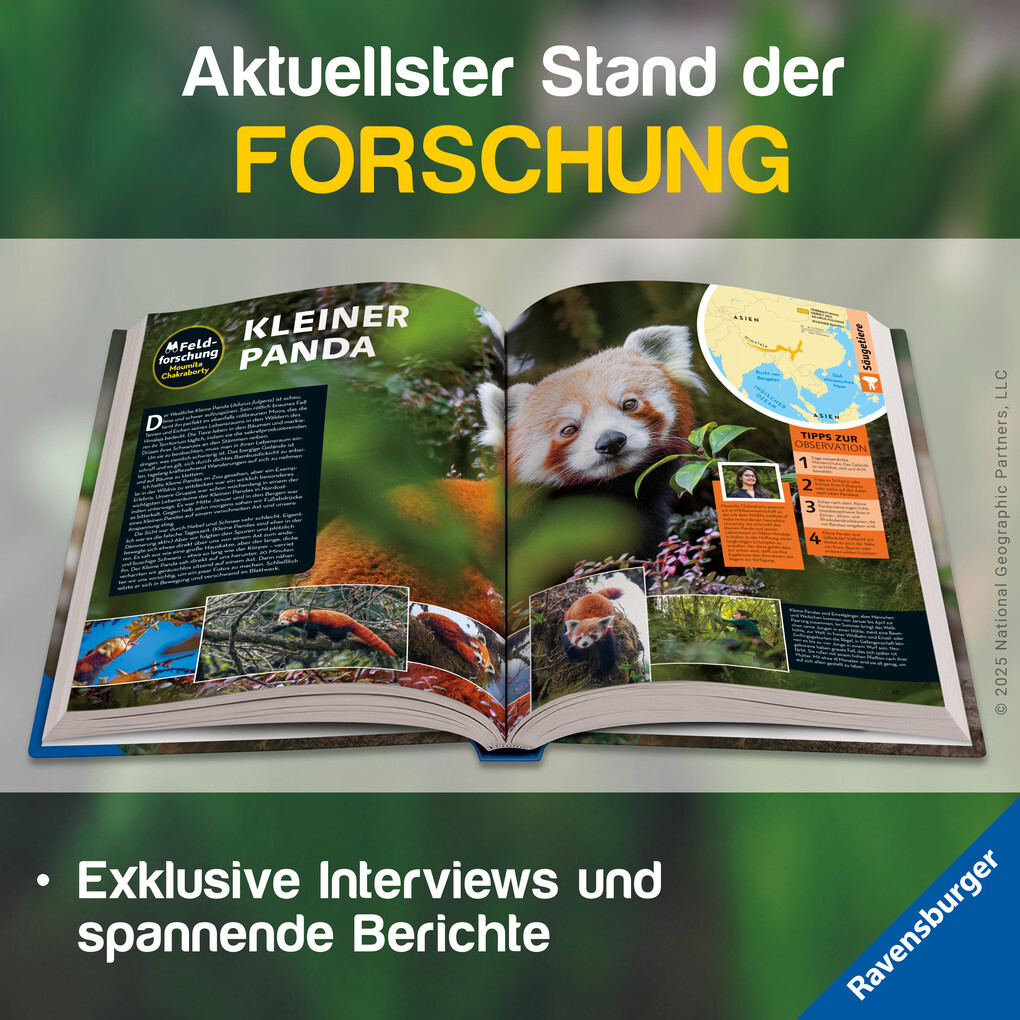 Weitere Ansicht: National Geographic Kids - Lexikon der Tiere | Lucy Spelman