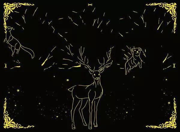 Weitere Ansicht: Erwachsenenpuzzle 500 Teile - Harry Potter - Leuchtender Patronus