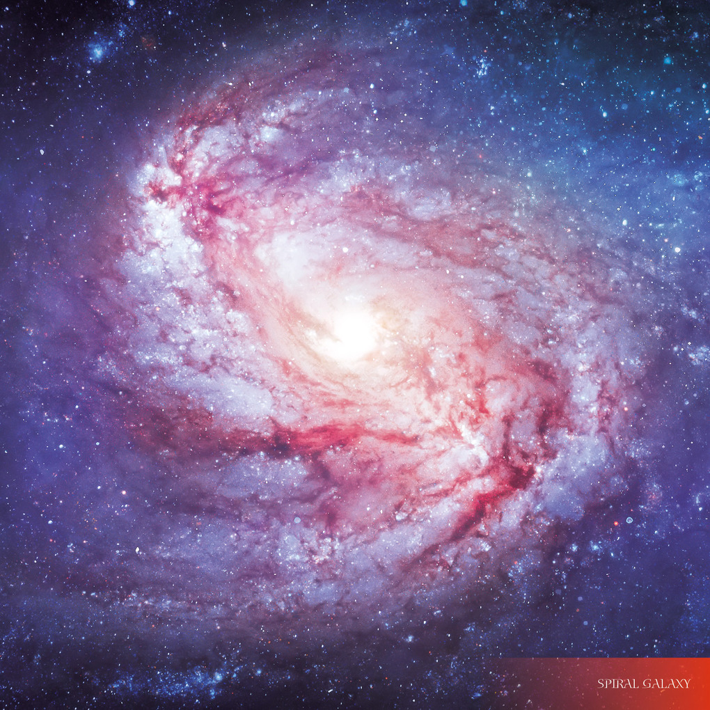 Weitere Ansicht: Where Stars are Born 2026