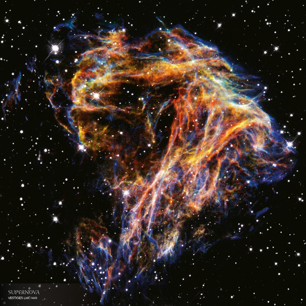 Weitere Ansicht: Where Stars are Born 2026