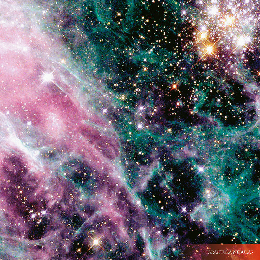 Weitere Ansicht: Where Stars are Born 2026