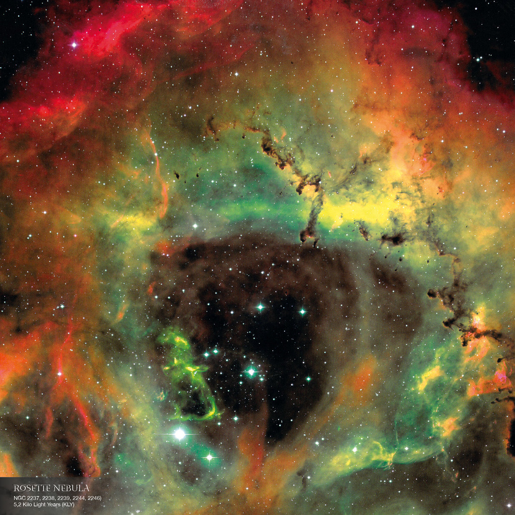 Weitere Ansicht: Where Stars are Born 2026