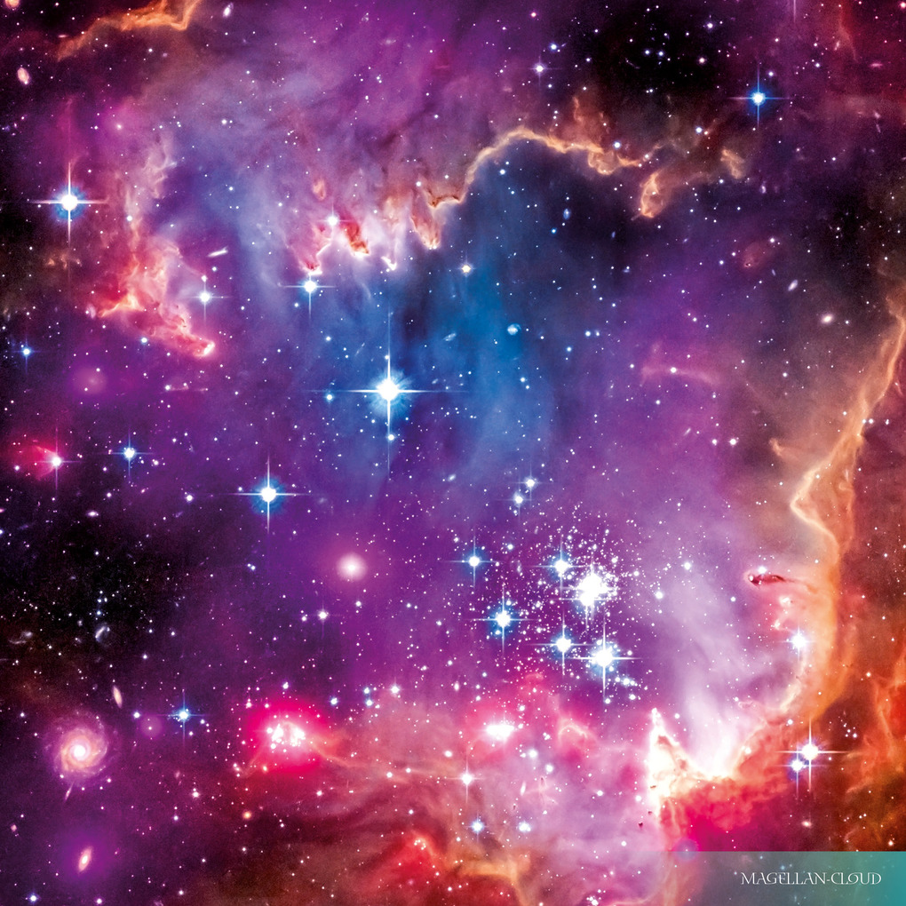 Weitere Ansicht: Where Stars are Born 2026