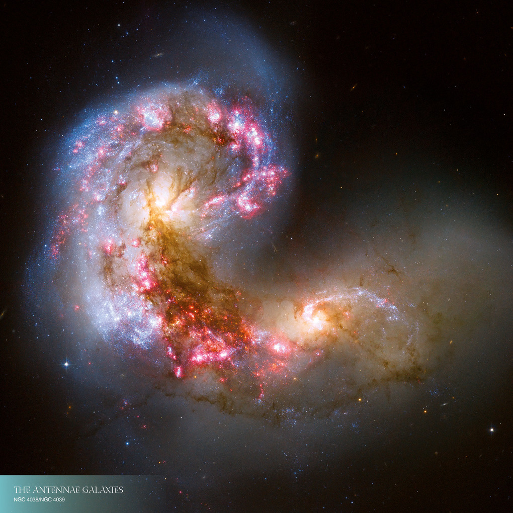 Weitere Ansicht: Where Stars are Born 2026