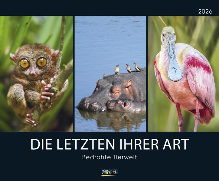 Produktbild: Bedrohte Tierwelt 2026