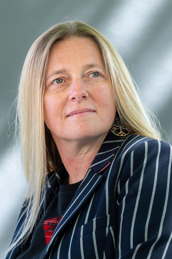 Produktbild: The Christmas Clue | Nicola Upson