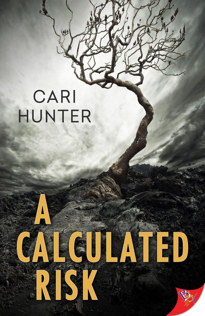 Produktbild: A Calculated Risk | Cari Hunter
