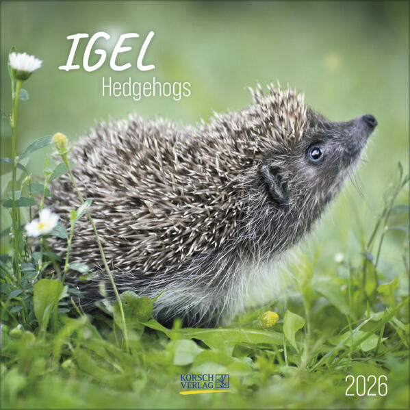 Produktbild: Igel 2026