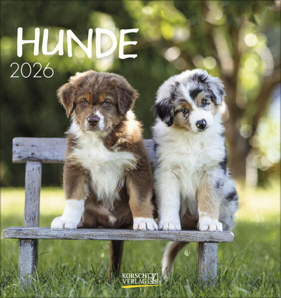 Produktbild: Hunde 2026