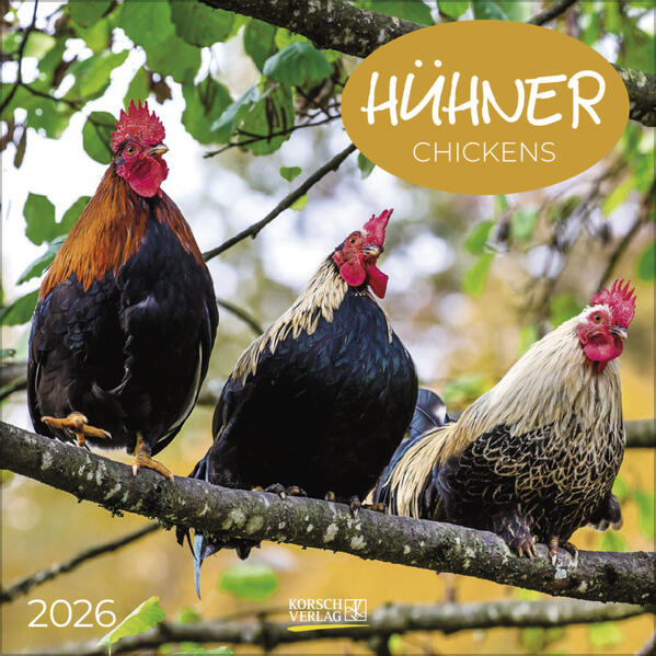 Produktbild: Hühner 2026