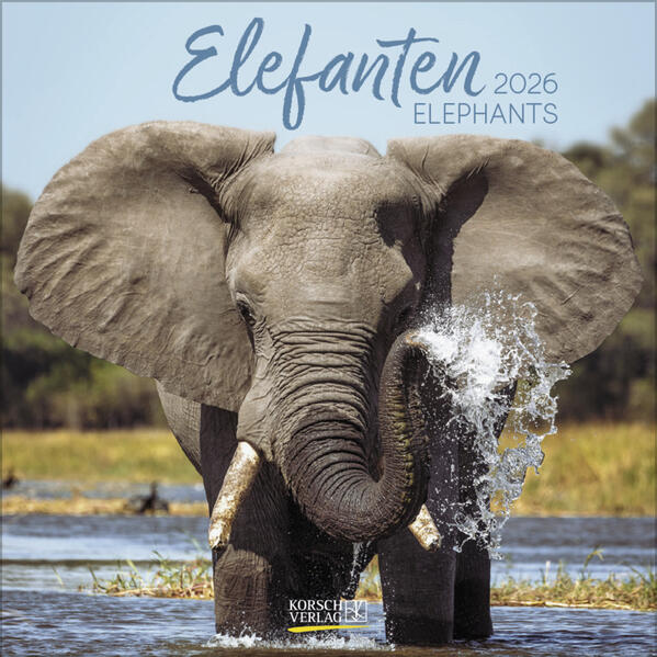 Produktbild: Elefanten 2026