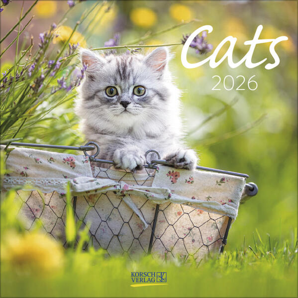 Produktbild: Cats 2026