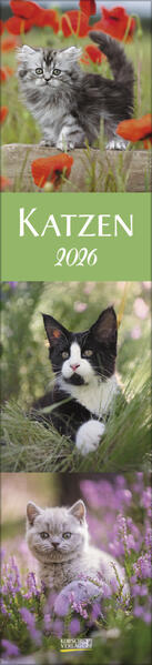 Produktbild: Katzen Langplaner 2026