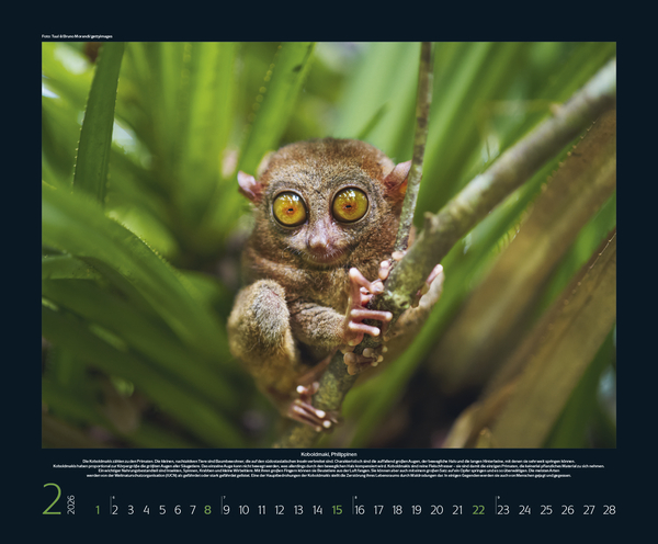 Weitere Ansicht: Bedrohte Tierwelt 2026