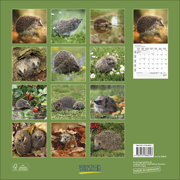 Weitere Ansicht: Igel 2026