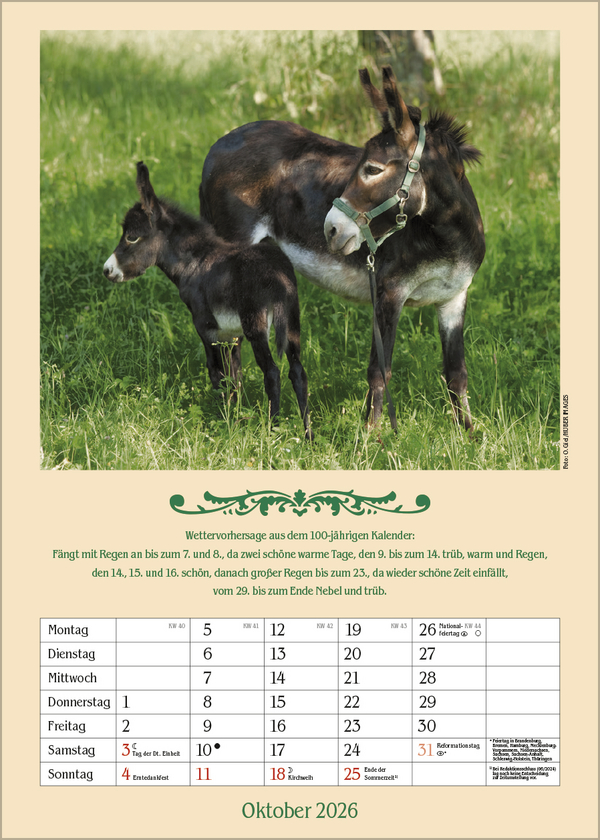 Weitere Ansicht: Landleben mit Hundertjährigem Kalender 2026