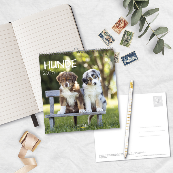Weitere Ansicht: Hunde 2026