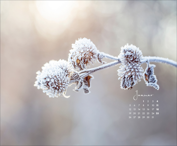 Weitere Ansicht: Zauberhafte kleine Welten 2026