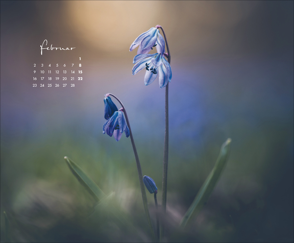 Weitere Ansicht: Zauberhafte kleine Welten 2026