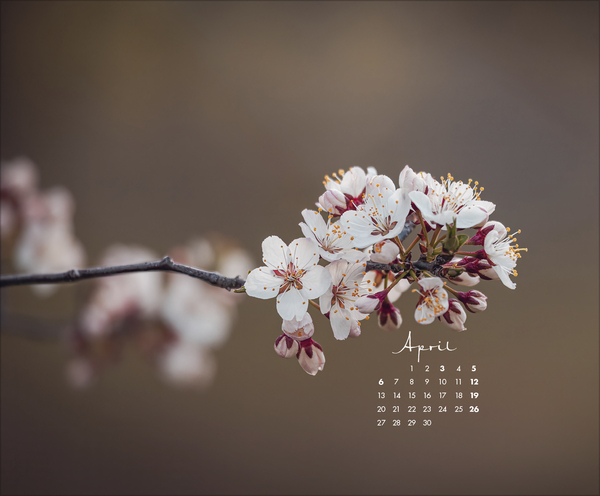 Weitere Ansicht: Zauberhafte kleine Welten 2026