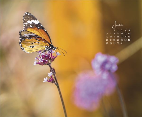 Weitere Ansicht: Zauberhafte kleine Welten 2026