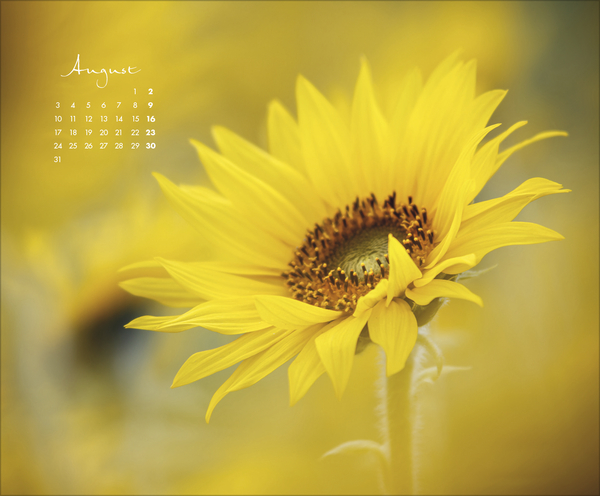 Weitere Ansicht: Zauberhafte kleine Welten 2026