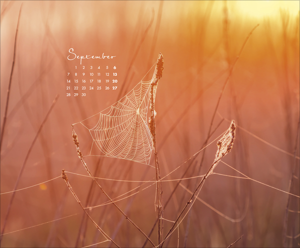 Weitere Ansicht: Zauberhafte kleine Welten 2026