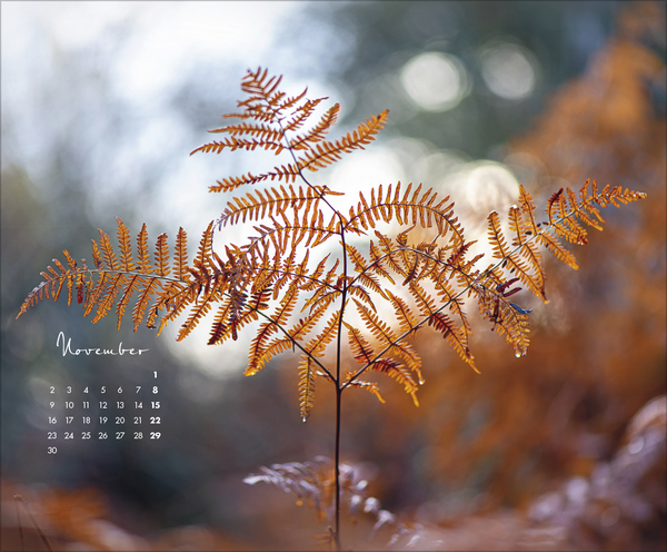 Weitere Ansicht: Zauberhafte kleine Welten 2026