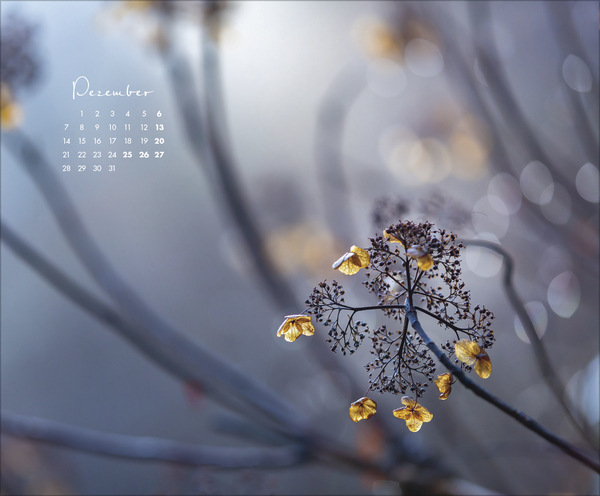 Weitere Ansicht: Zauberhafte kleine Welten 2026