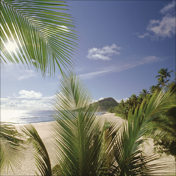 Weitere Ansicht: Trauminseln 2026