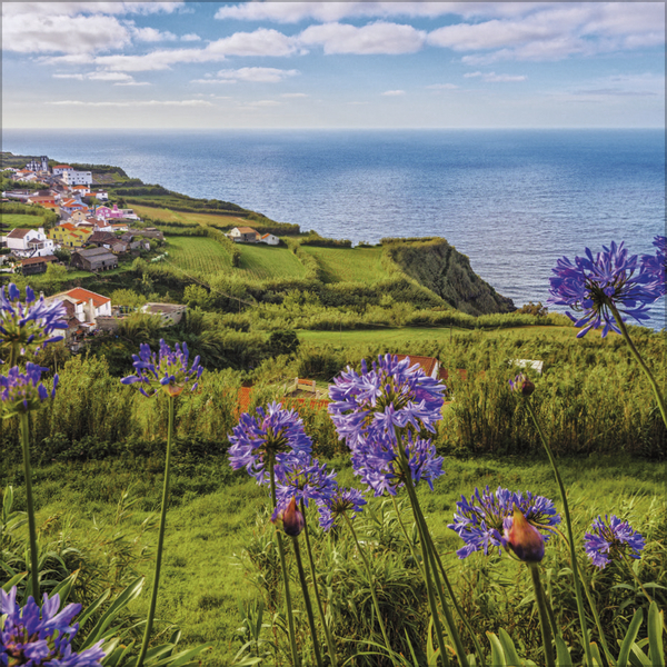 Weitere Ansicht: Trauminseln 2026